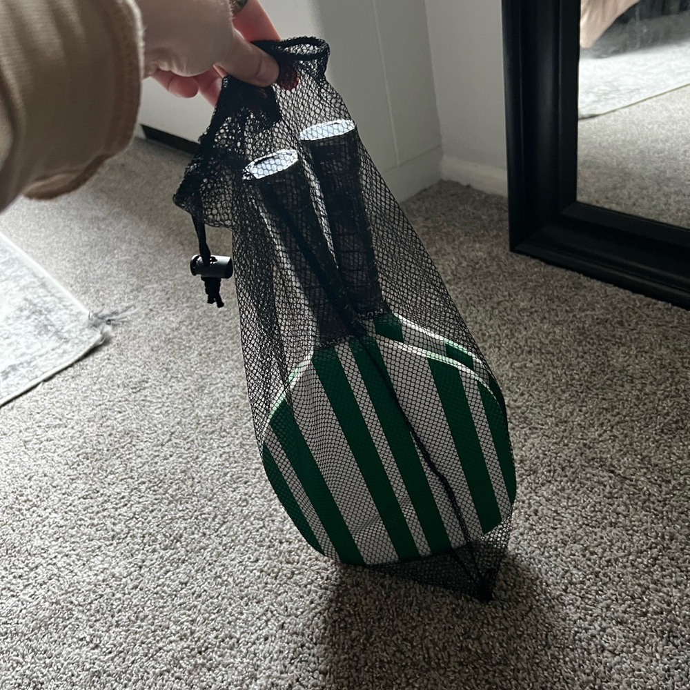 Pickleball paddle set, ball, bag